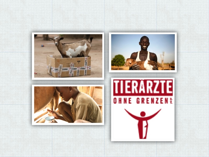 Tierärzte ohne Grenzen