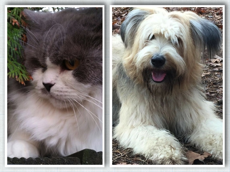 Ein Chip muss registriert werden.