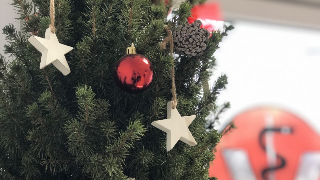 Unsere Sprechzeiten über die Feiertage 2024/2025 – wir sind für die Fellnasen da!