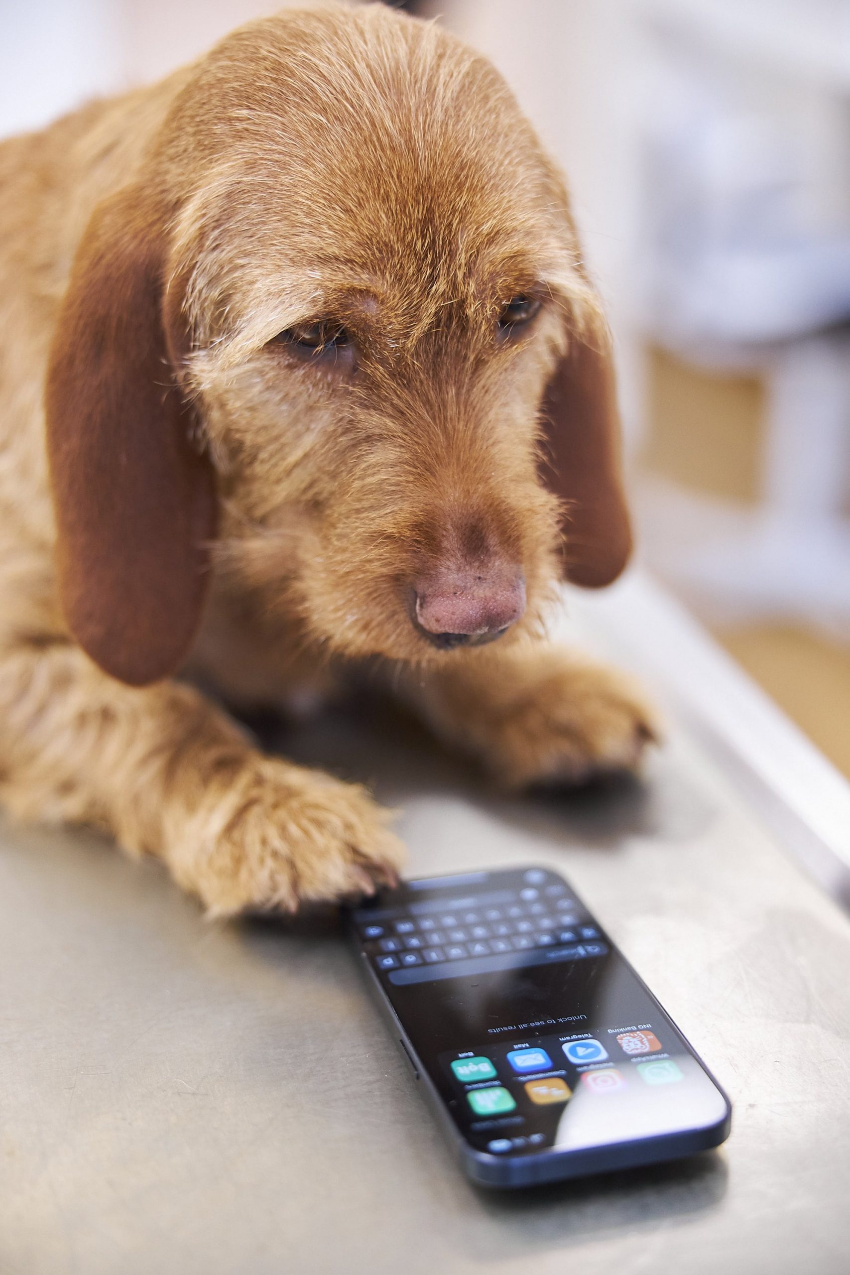 Online Terminvereinbarung